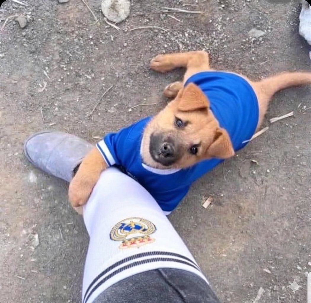 𝔼𝔻𝔻𝕀𝔼✞𝕎𝔼𝔼ℕ✞𝕁ℝ♞ tweet media