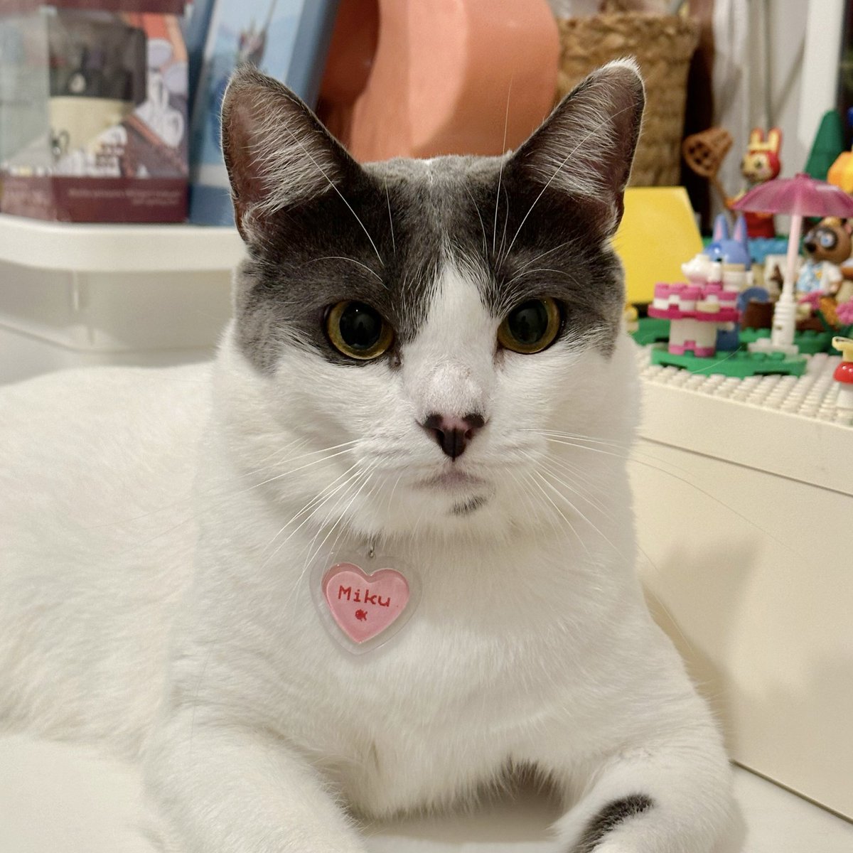 Mikuchan🐰 tweet media