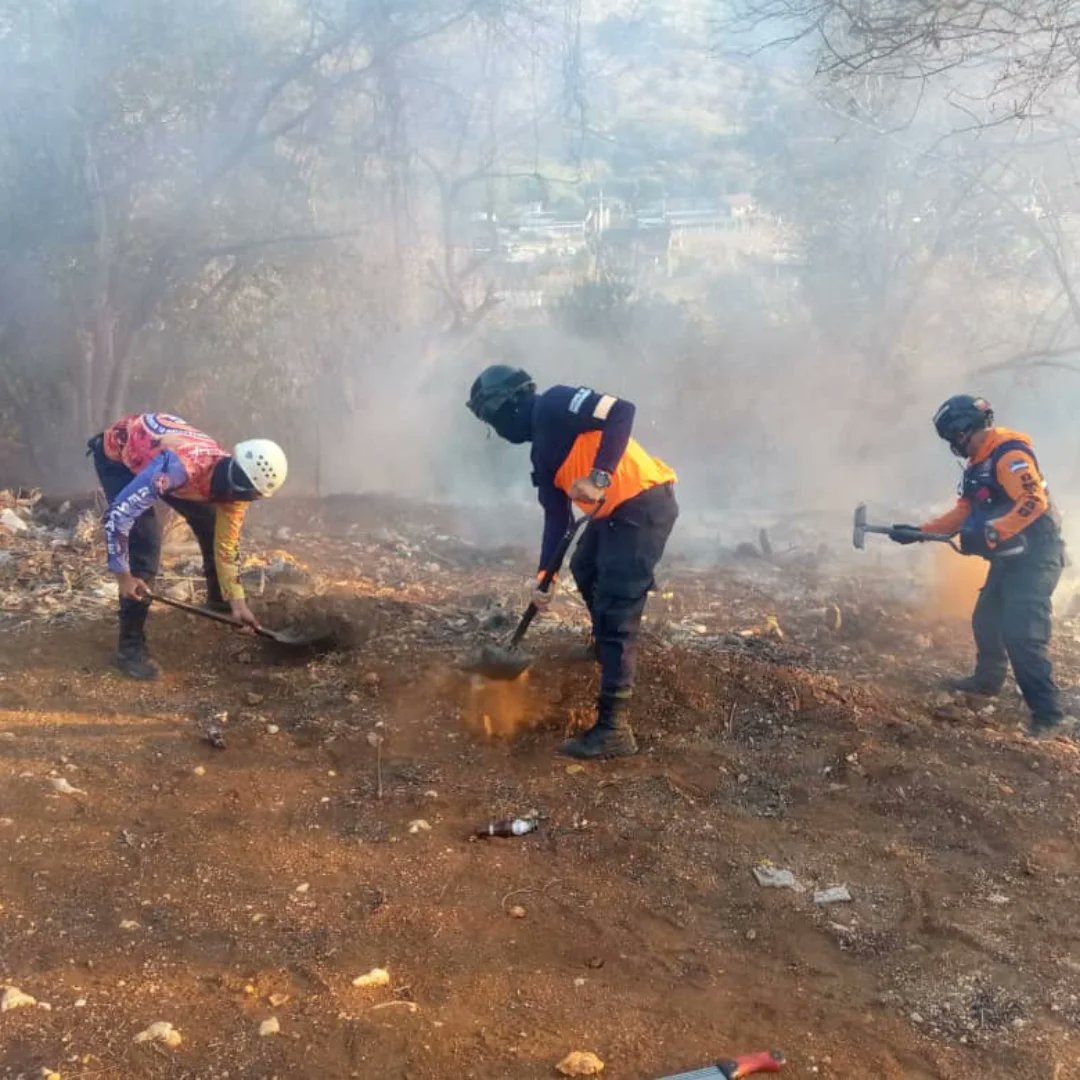 Noticias Falcón tweet media