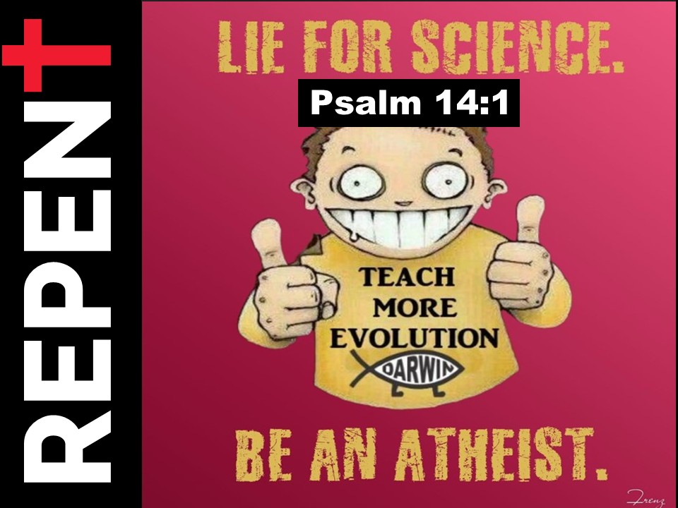 Bible Militant tweet media