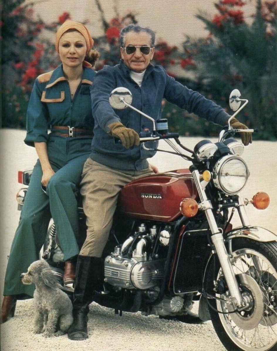 King Xerxes tweet media