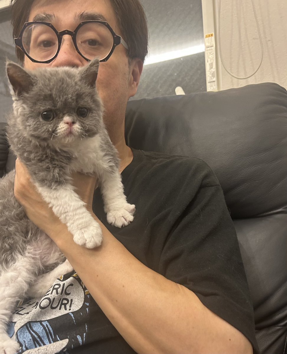 志らく tweet media