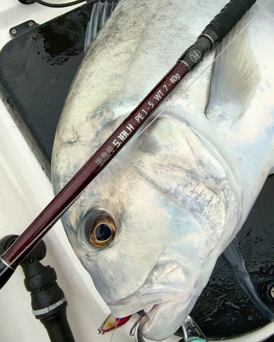 LureNewsR ルアーニュースアール tweet media