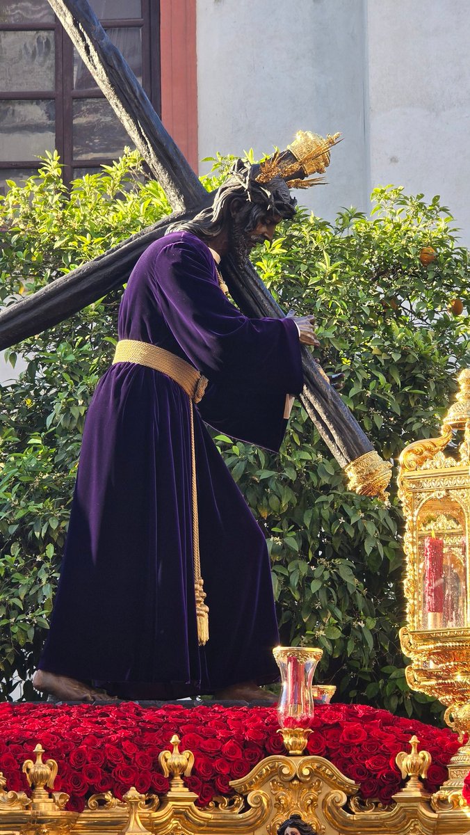 Julio Rebollo 📸 tweet media