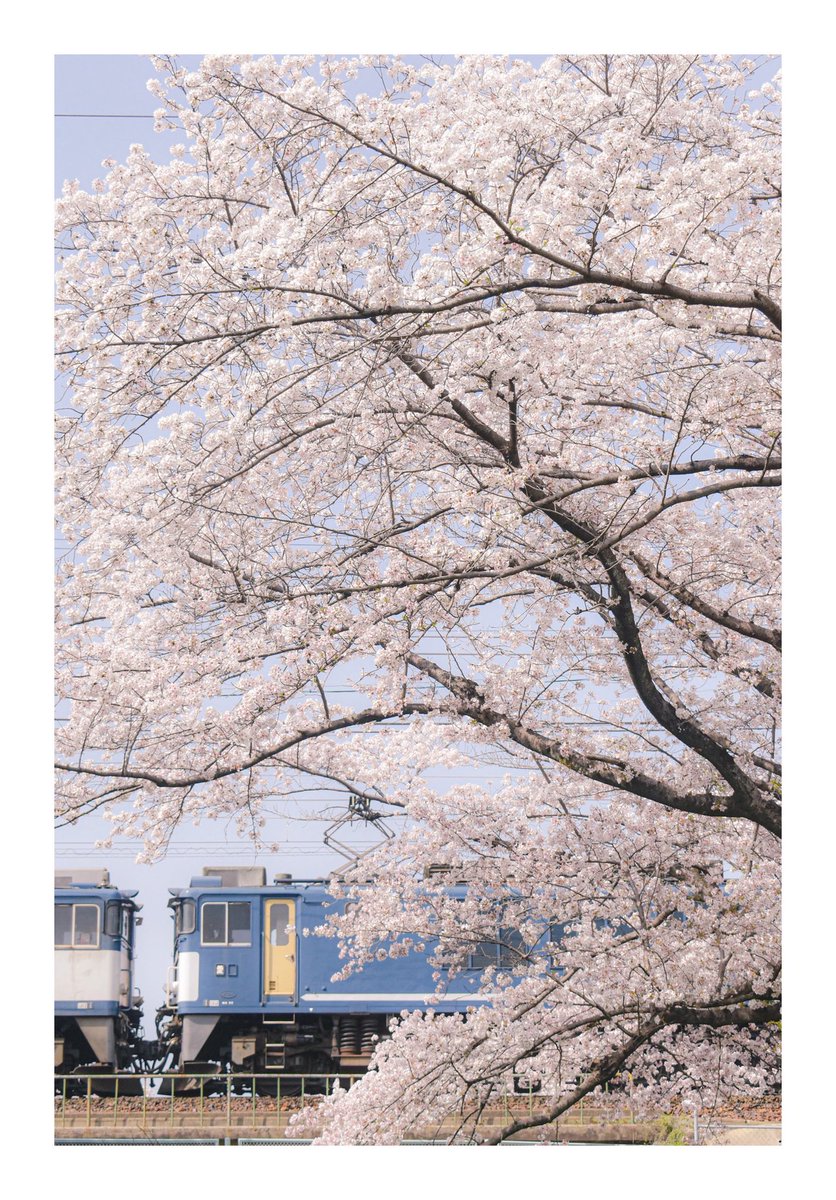 、、、 tweet media