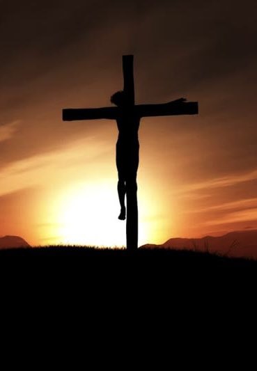 WTF Facts tweet media