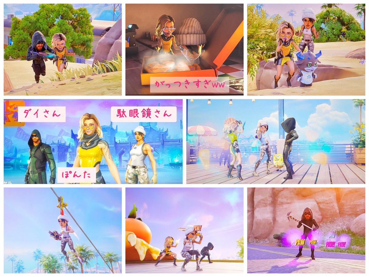 ころころポン太🏡 tweet media