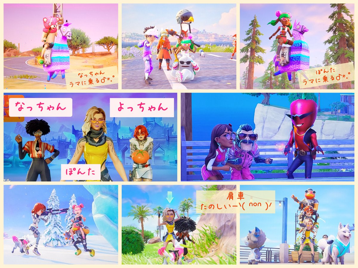 ころころポン太🏡 tweet media