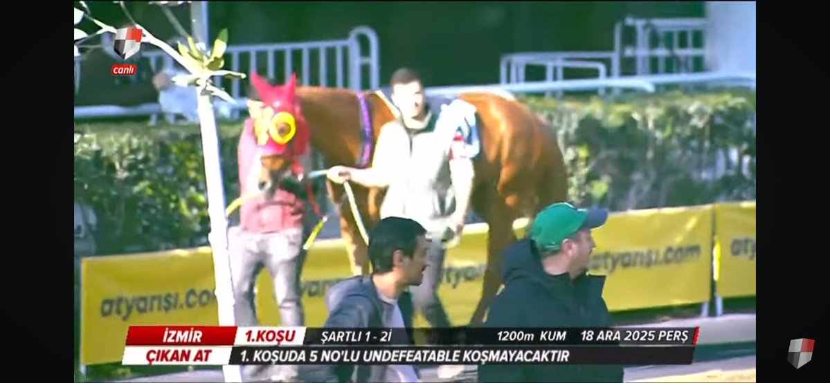 Serdar Ates tweet media