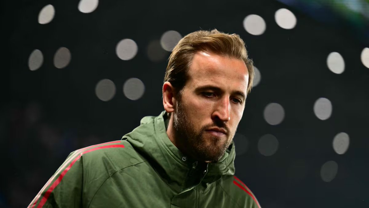 محمود مجيد tweet media