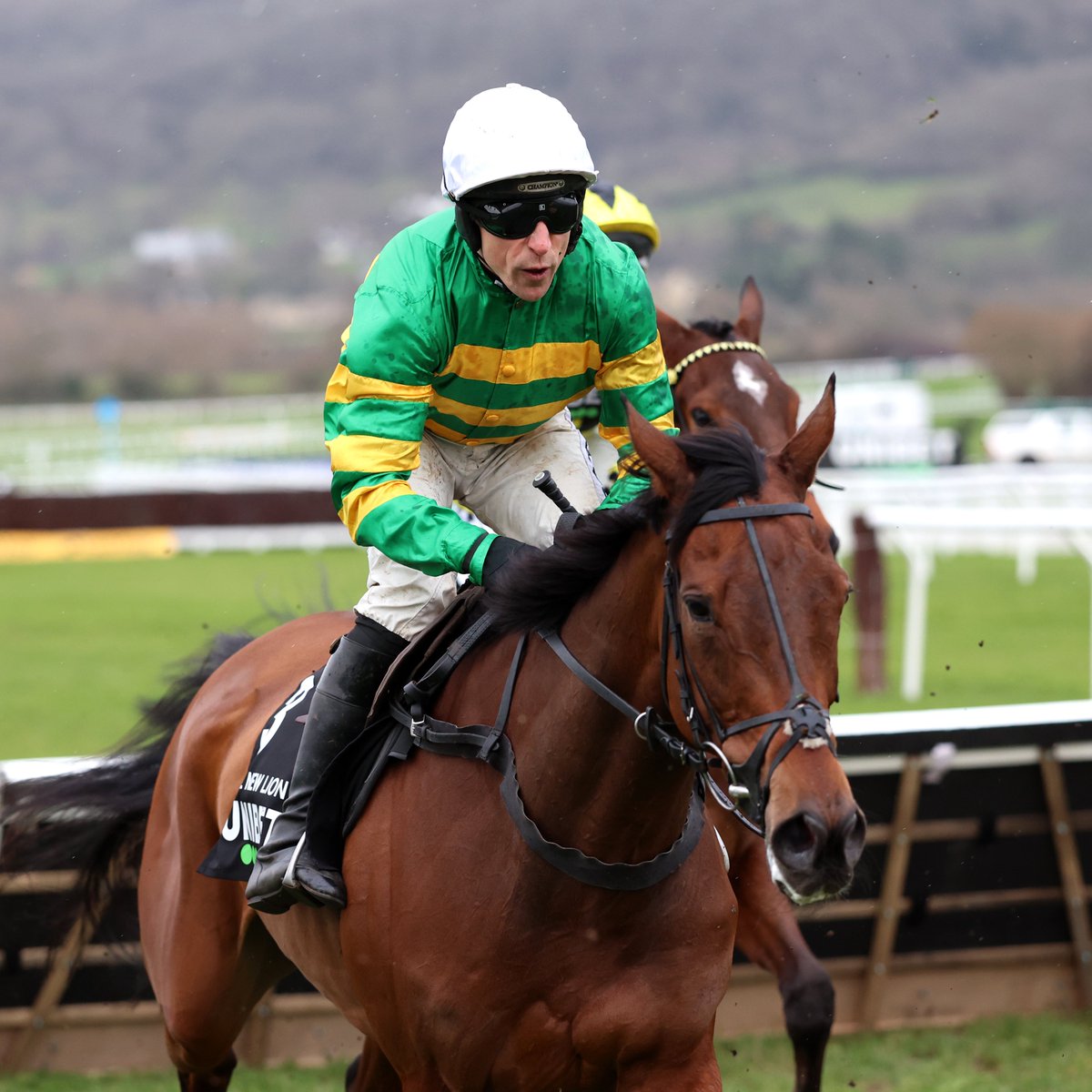 At The Races tweet media