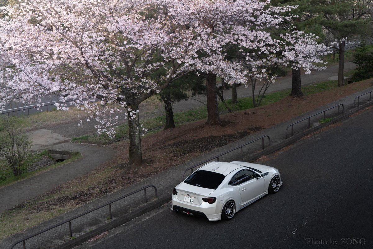 zono_86's tweet photo. 一眼で桜と車を撮ってきた https://t.co/leWgaEnEvf