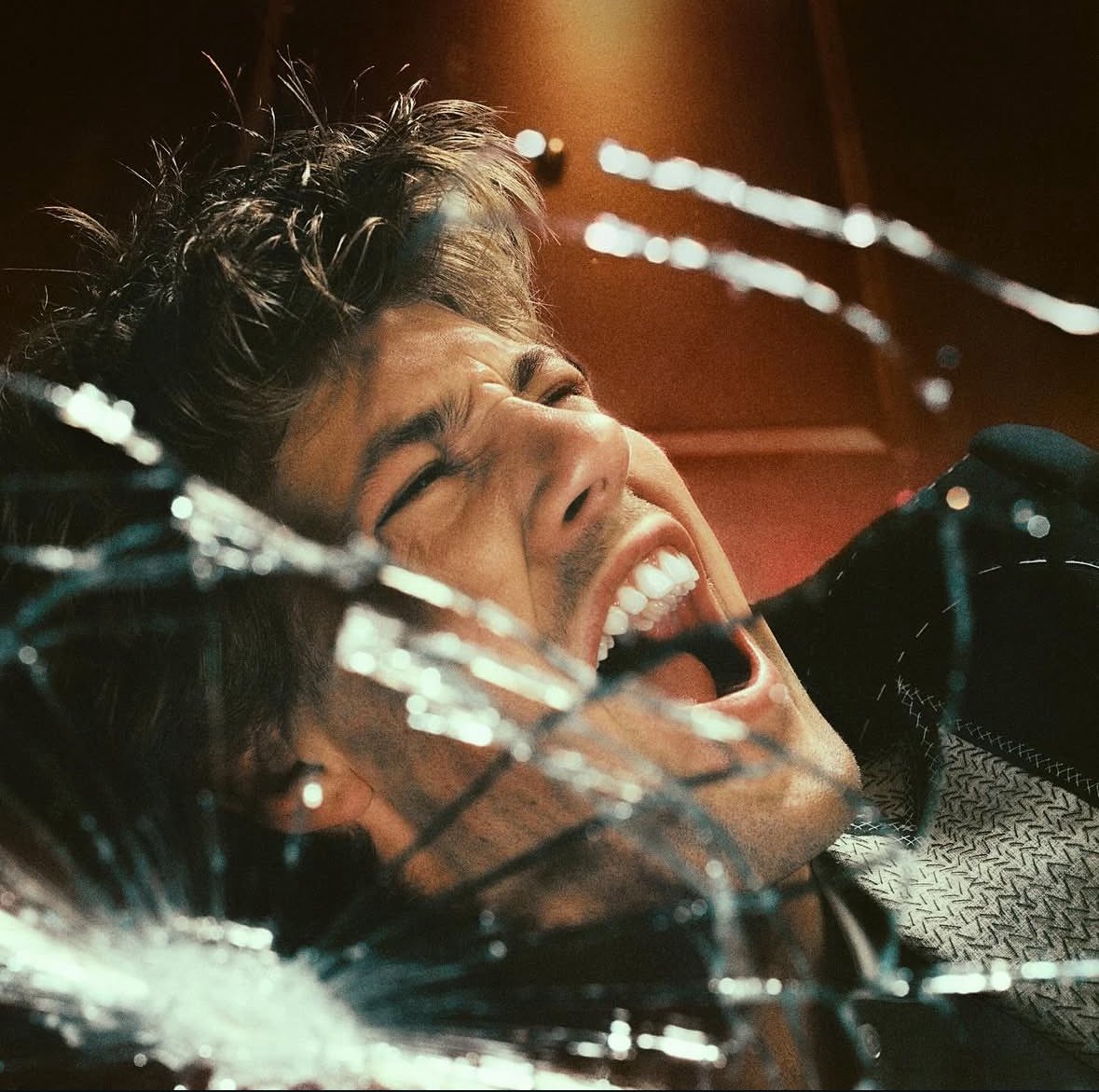 roo 💐 is KICKING & SCREAMING tweet media