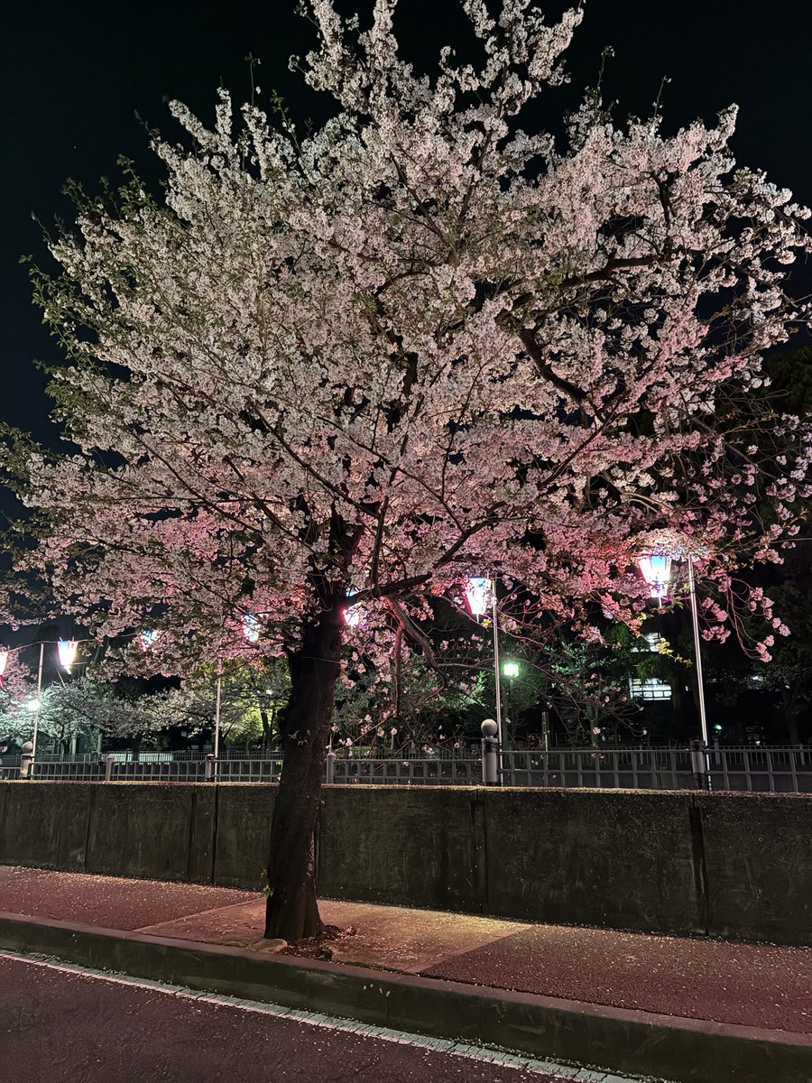 コミヤマ【おじさん】 tweet media