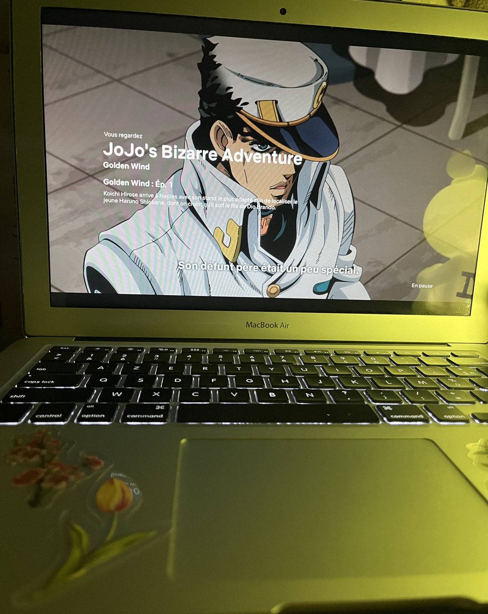 麦わらの一味🌺🍃 tweet media