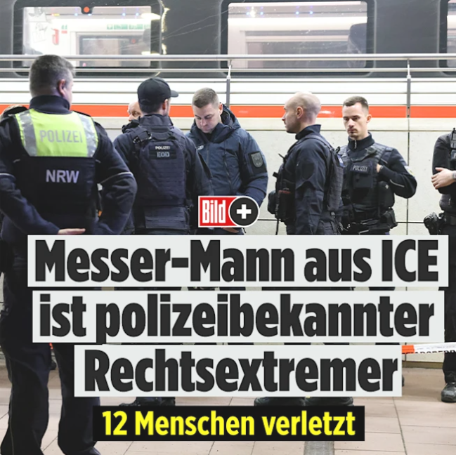 Leon 🇩🇪🇪🇺 tweet media