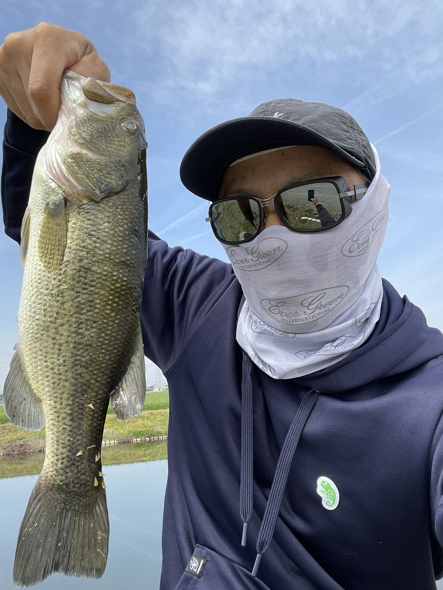 ティンゴ tweet media