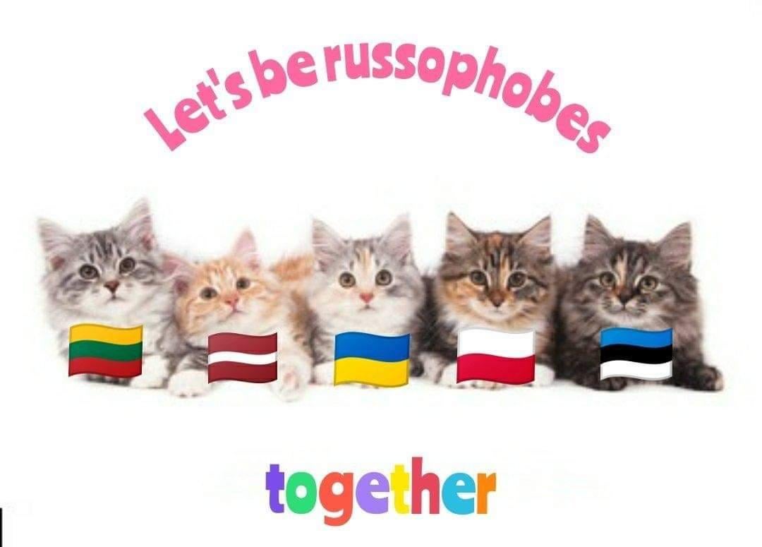 Fairy Fellarina Extremely Primitive Hooligan tweet media