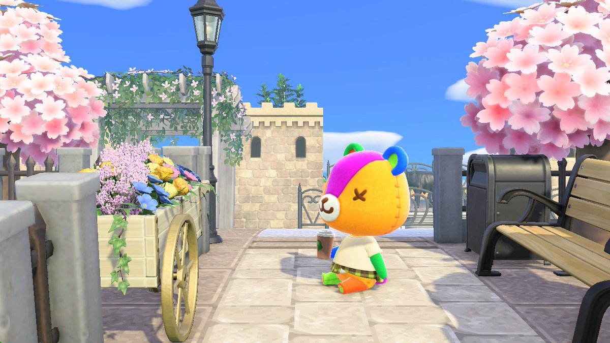 カモミール tweet media