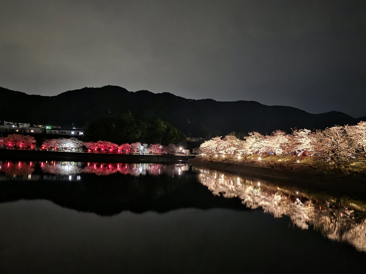 💚mana桜💚(🤘) tweet media