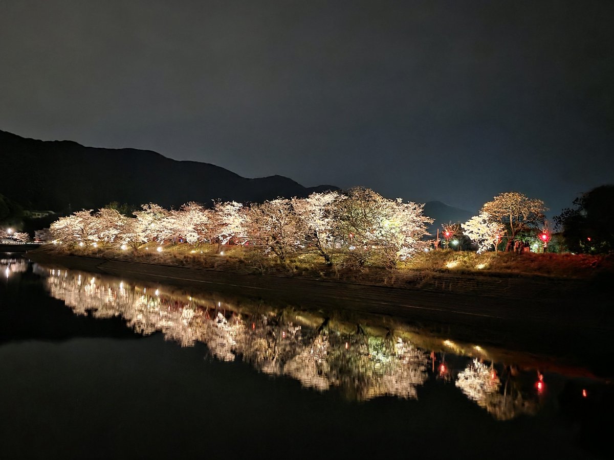 💚mana桜💚(🤘) tweet media