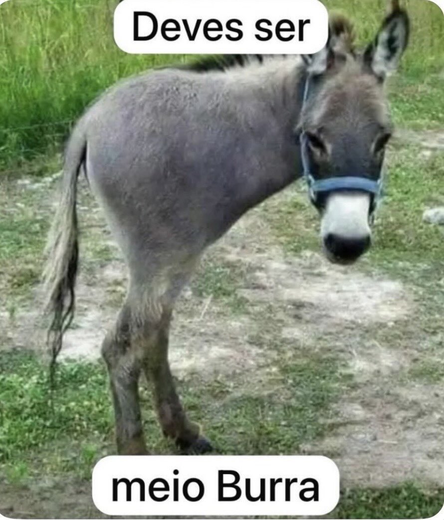 Maristela Prado Gerent tweet media