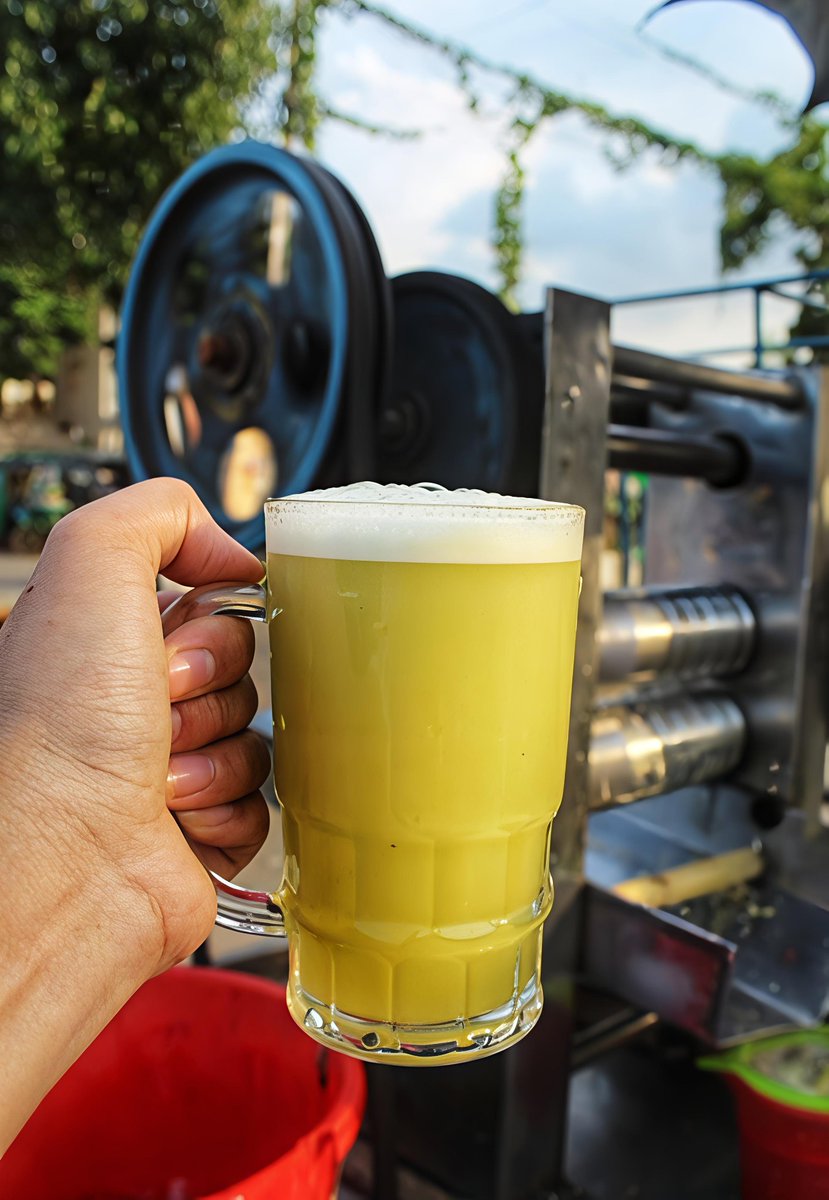 NekoZ🌊 tweet media