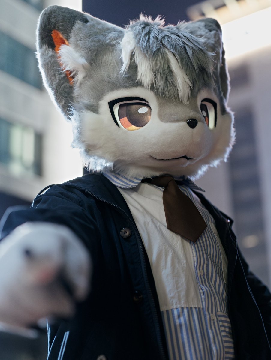 萨摩耶先生 tweet media