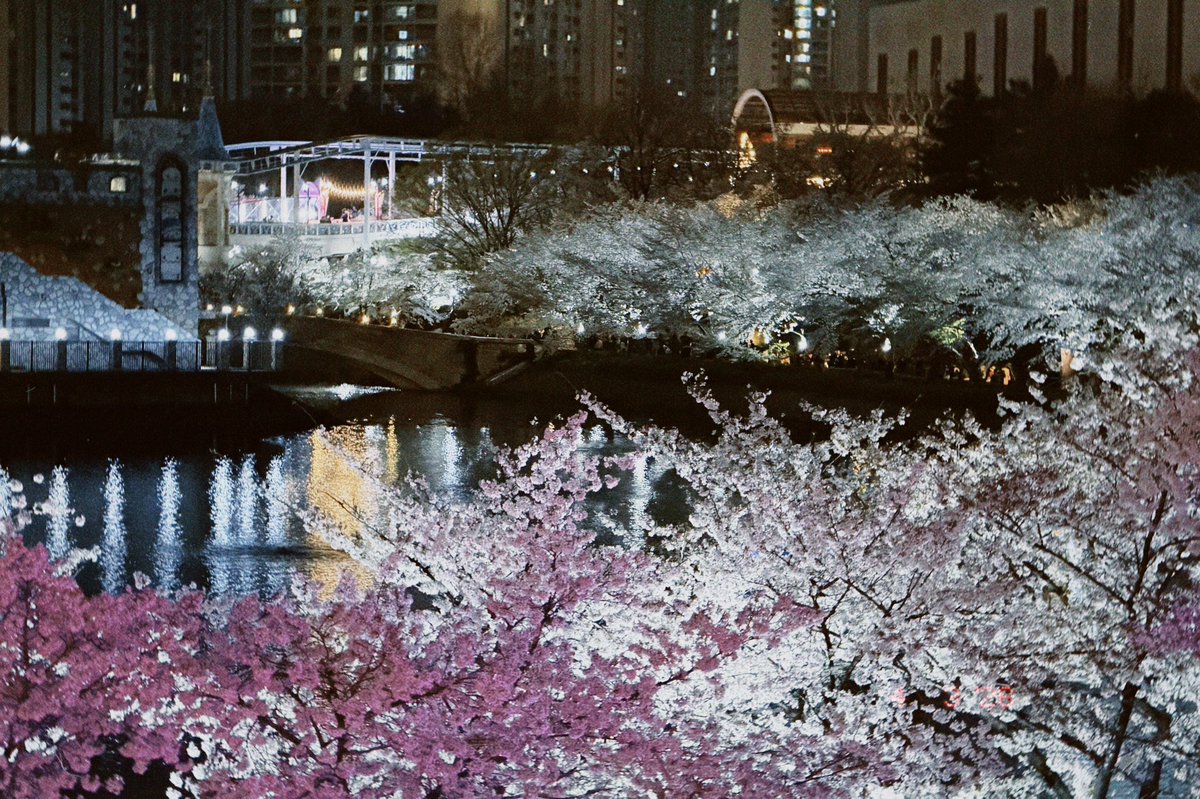 페리테일 tweet media