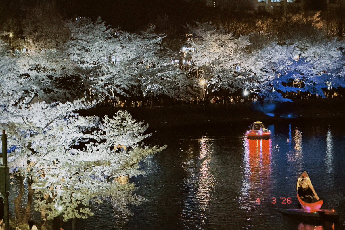 페리테일 tweet media