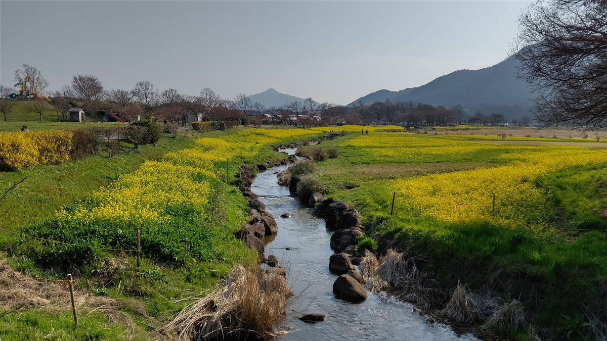 flatodekake's tweet photo. 上堰潟公園から彌彦周辺へ。
花の季節がやってきて嬉しい🙆 https://t.co/1erAj947Hy