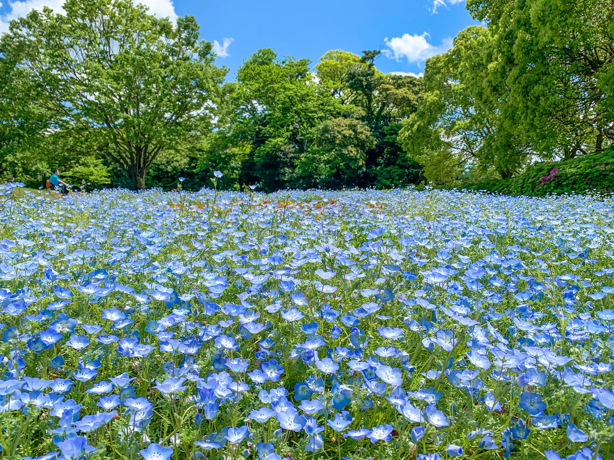 えざき舎@15周年 tweet media