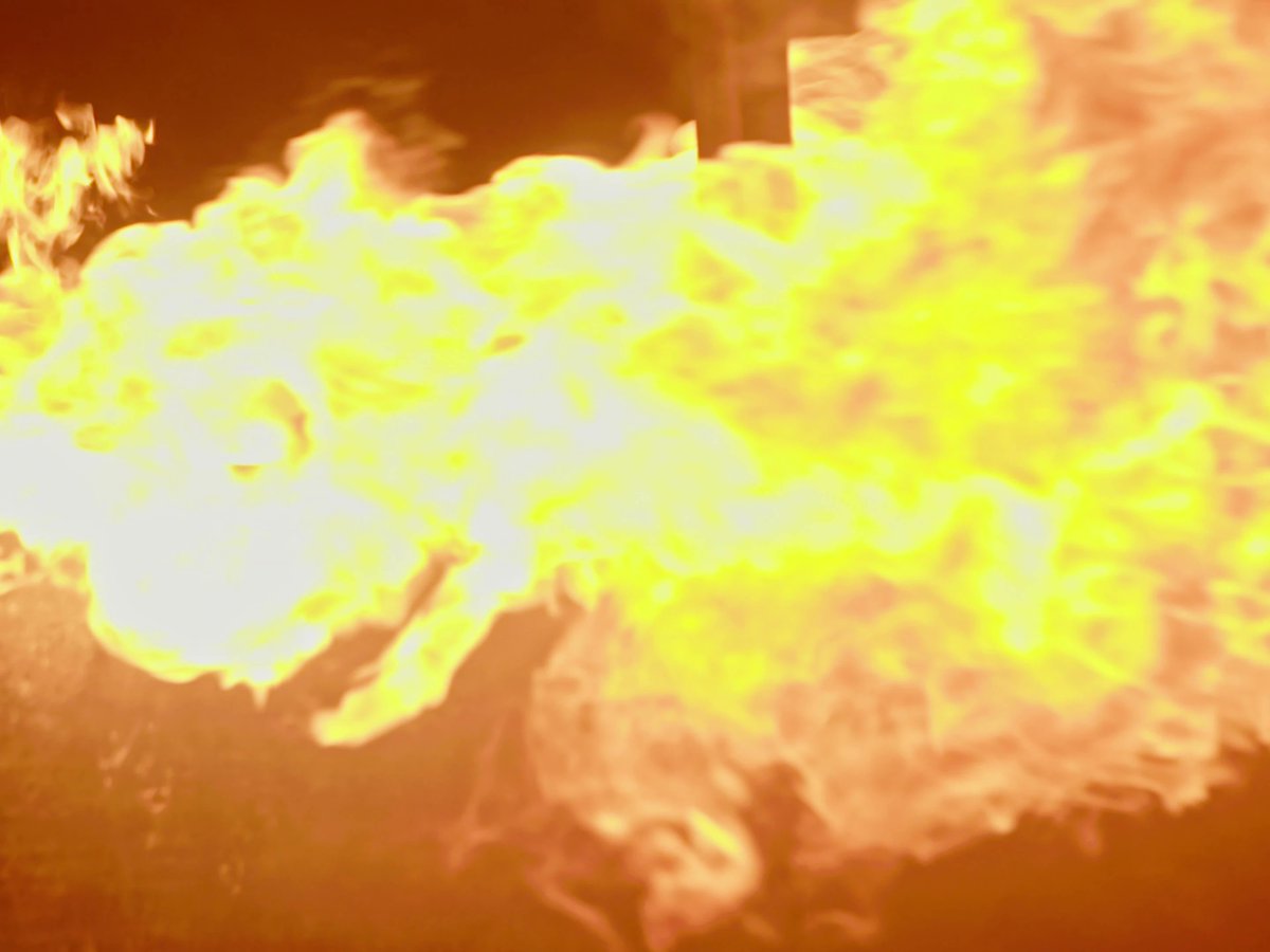 Omroep Gelderland tweet media