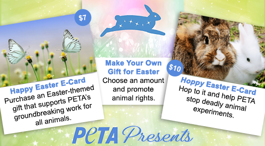 marillion13's tweet image. @peta presents for #Easter. 
I live alone, with no relatives, and I´m on #SocialSecurity, so #SharingIsCaring.
💖💖💖
presents.peta.org/category/holid…