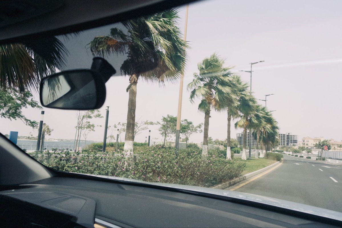 ☼ ☼ ☼ tweet media