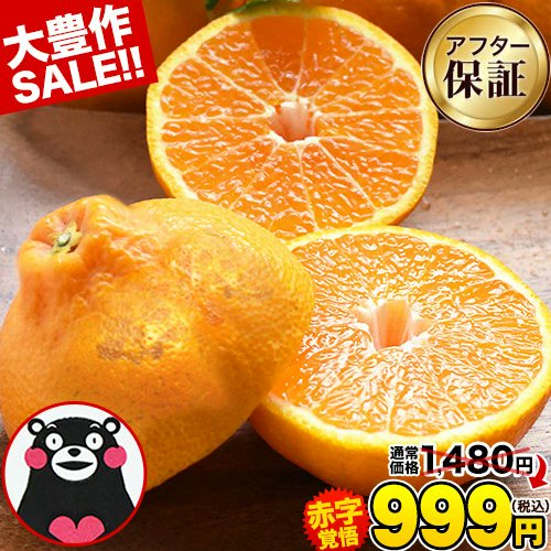 まとめ子 tweet media