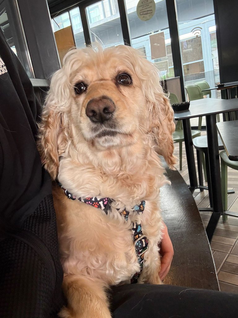 bu kıza nasıl yuva çıkmadı ya