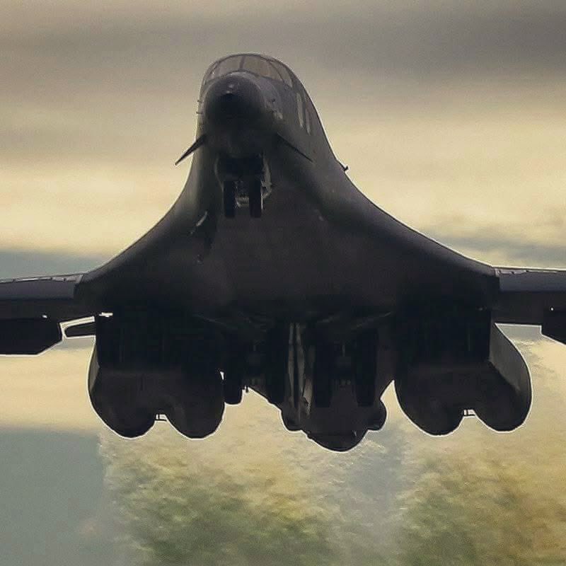 Virginie Sigonney 🇫🇷 tweet media