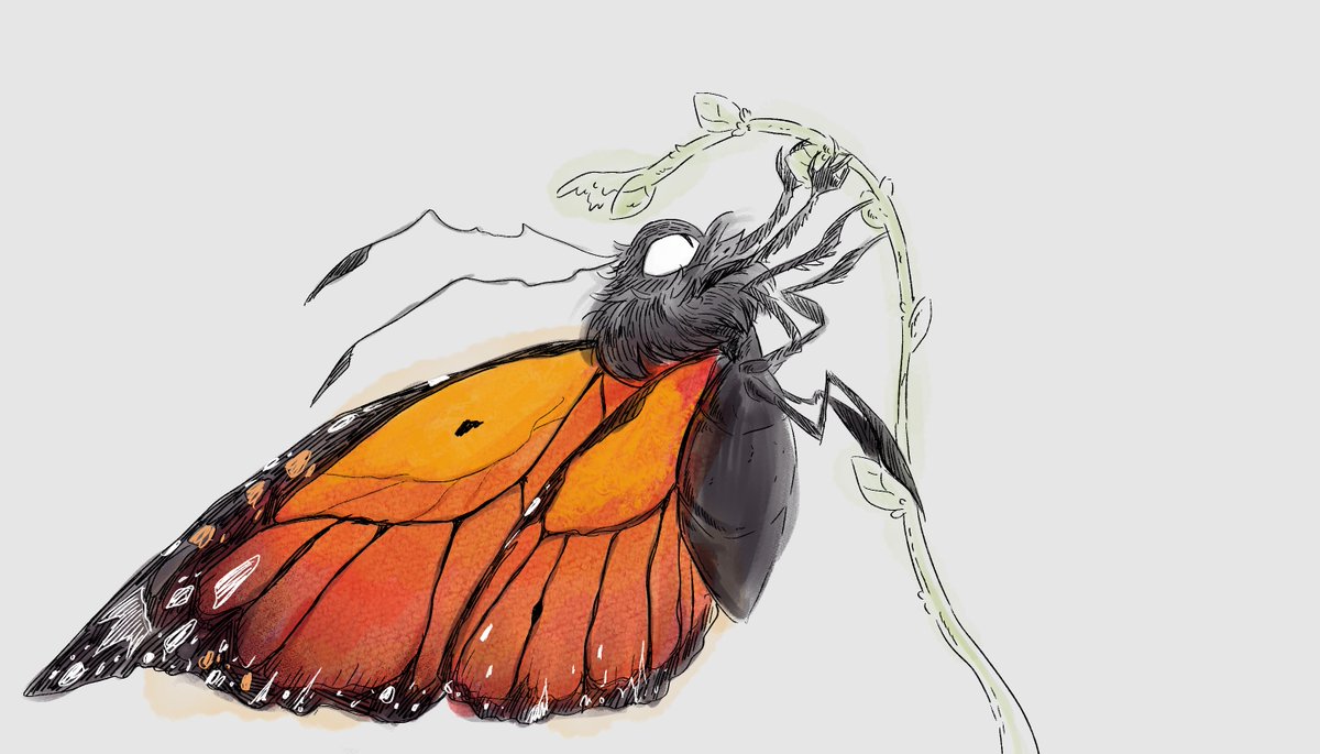 🌸Cat🏴󠁧󠁢󠁳󠁣󠁴󠁿 tweet media