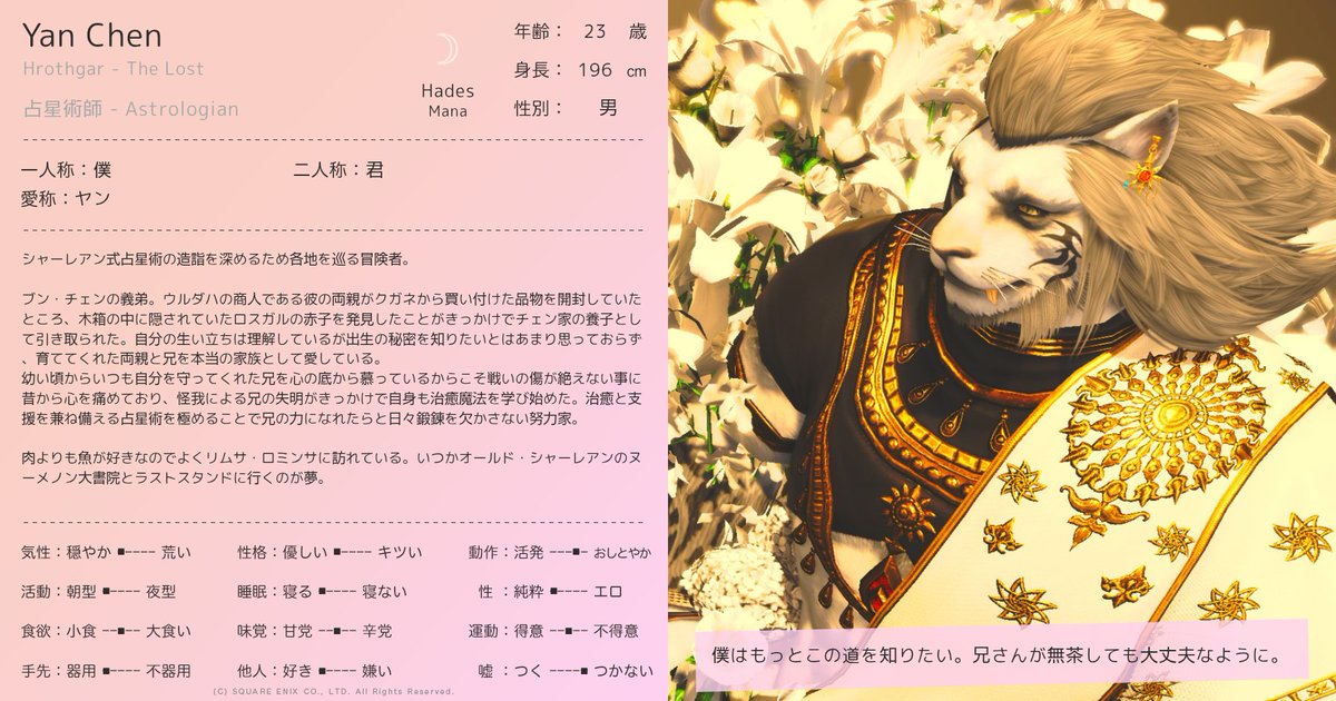 チェン。 tweet media