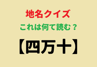 fortyRider@Ninja1000 tweet media