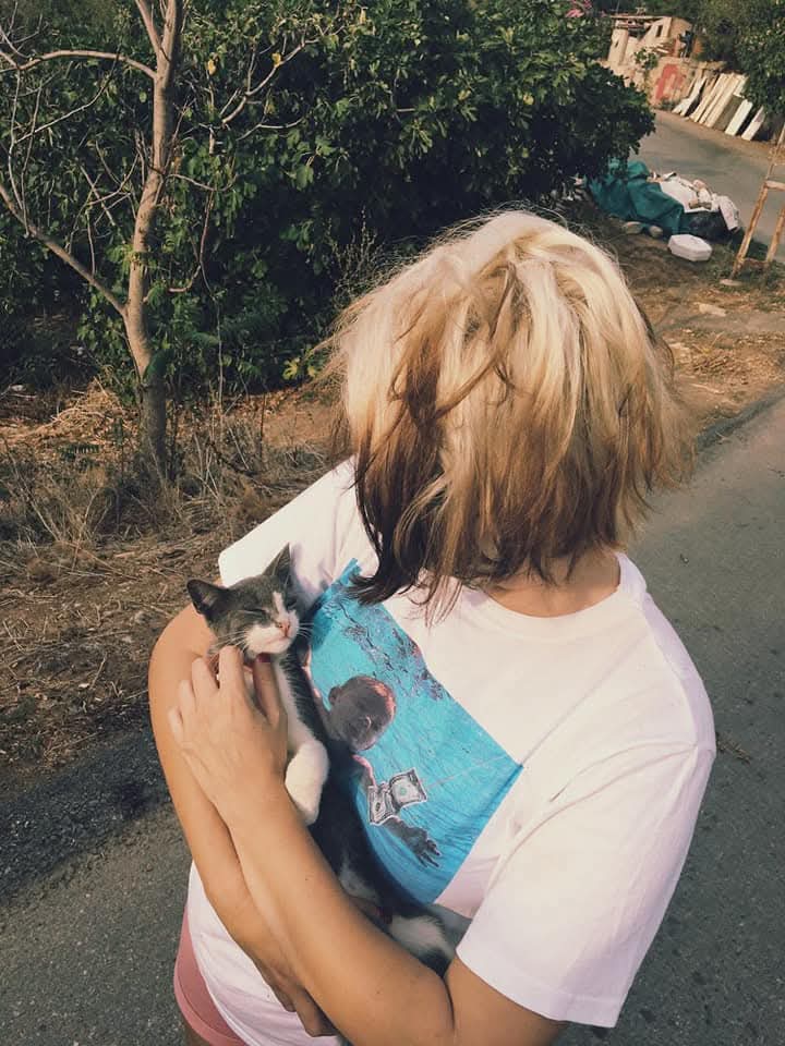 Dilan Oktay tweet media