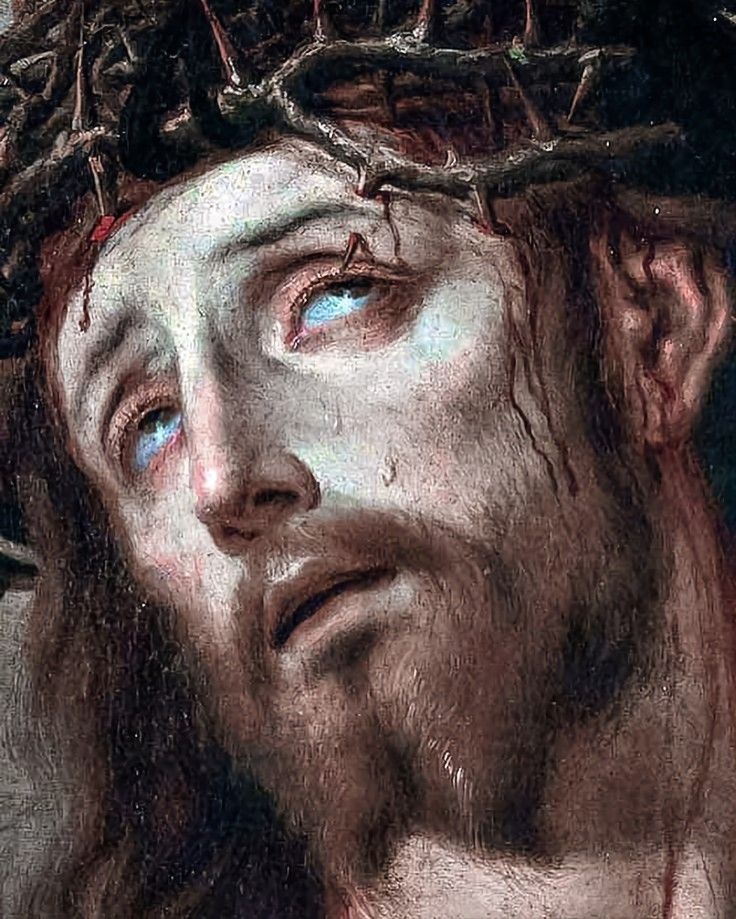 Abrace a Tradição tweet media