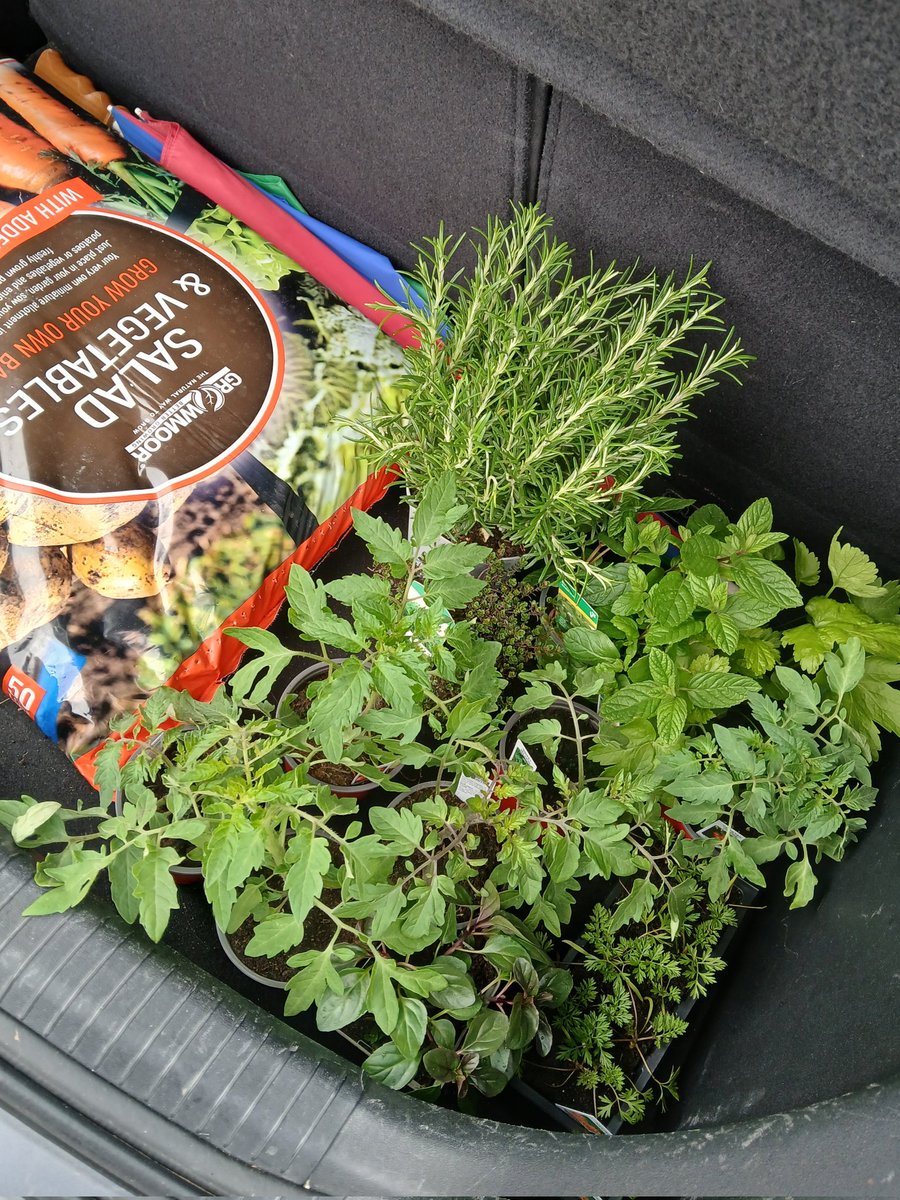 clairywairy88's tweet image. So #GoodFriday and busy out and about today, while listening to #NewOrder #BlueMonday on my new CD. 🎵🎶 My first stop, the #GardenCentre 🌱🌿 one of my favourite places to browse. 💚 Such a happy girlee with lots of lovely #herbs and #vegetable plants in the boot of my car.x 💚