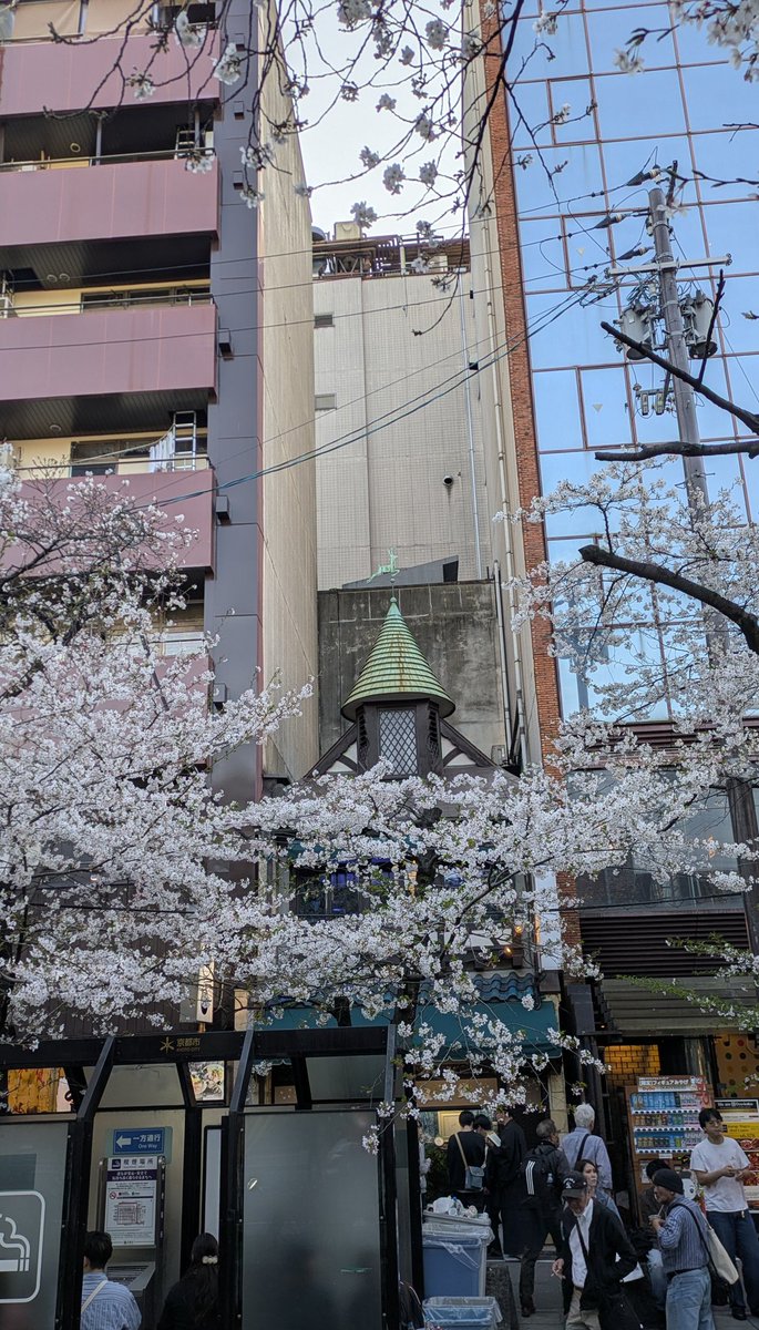 花街ぞめき、正脇良平 Ryohei Masawaki tweet media