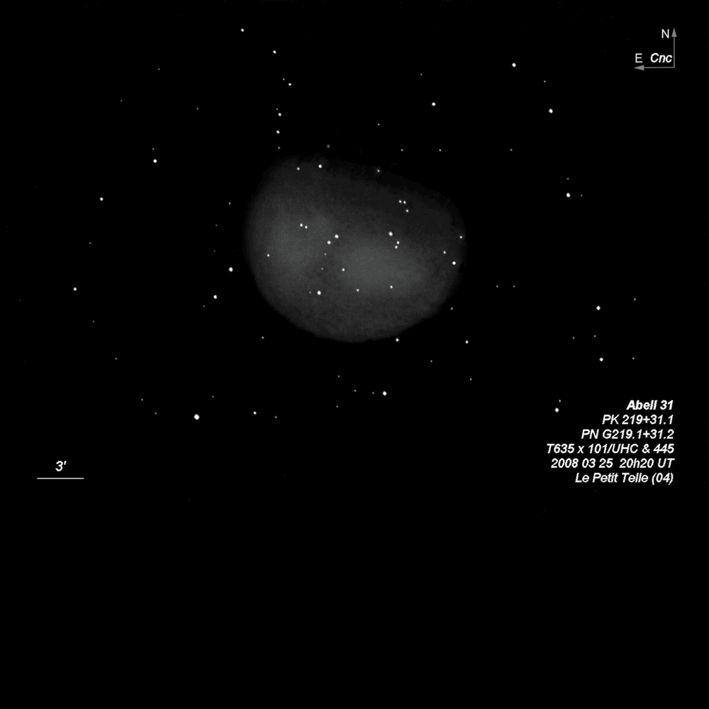 ∴ Quentin Six Roses ∴ tweet media