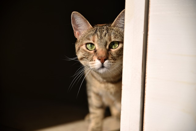 Victoria Williams tweet media