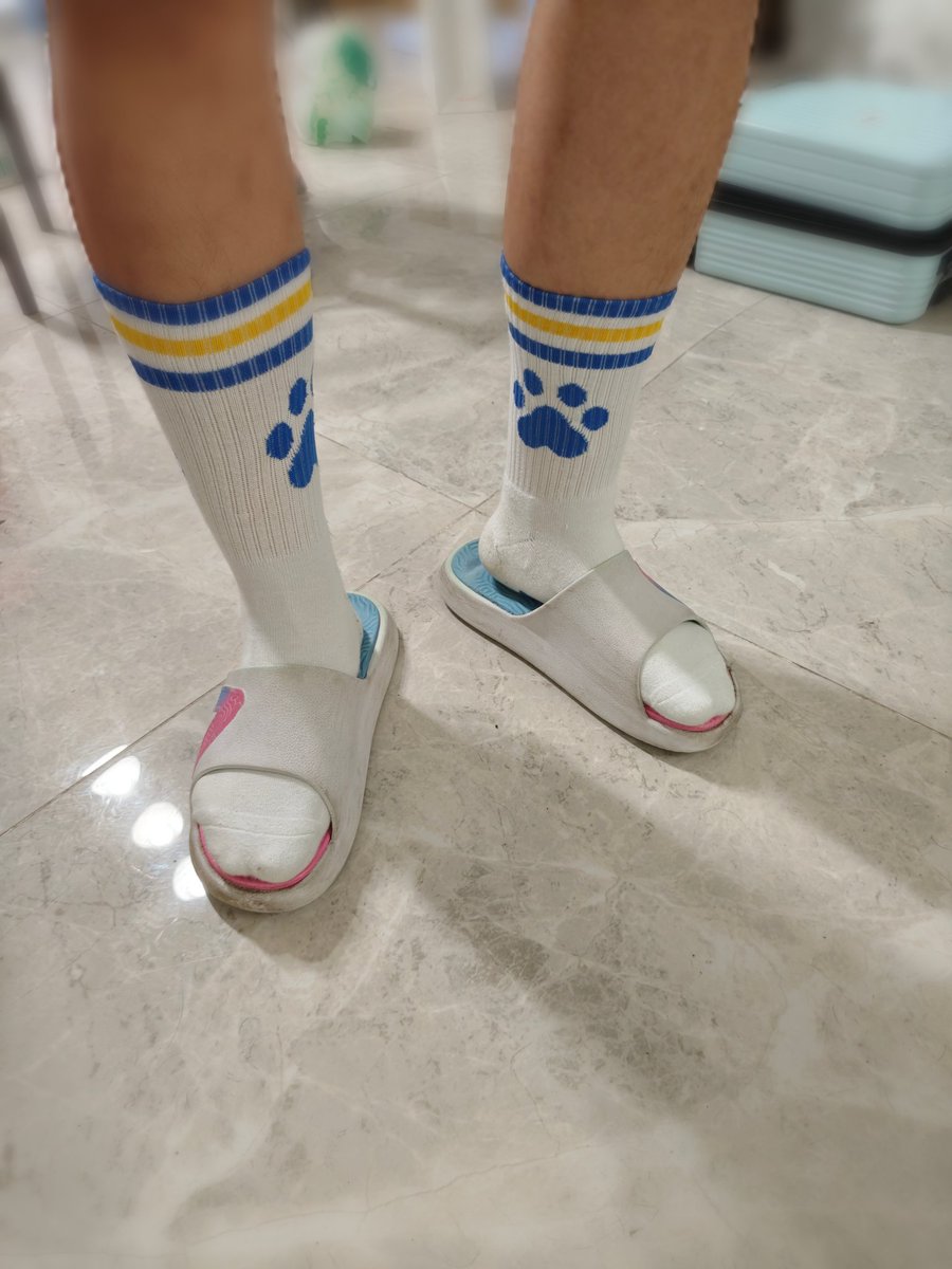 Shi-Ro丶 tweet media