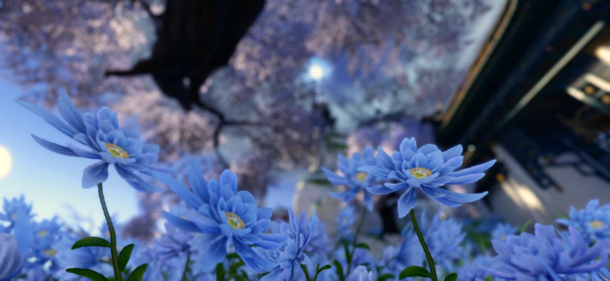 ✿.｡.:* こころ *.:｡.✿ tweet media