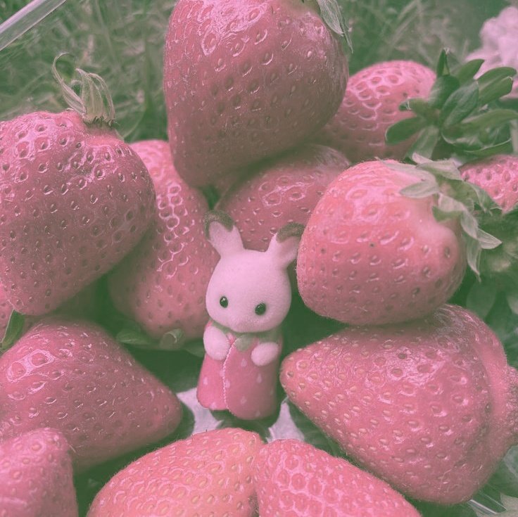 pink˚·🎀 tweet media